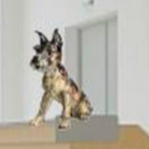 Meet your Posher, Emmett